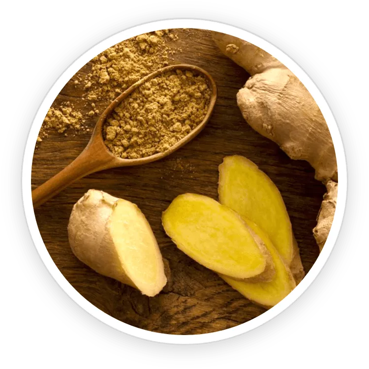 Neotonics Ingredient Organic Ceylon Ginger