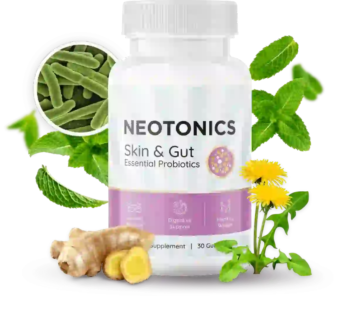 Neotonics Supplement Formula Banner